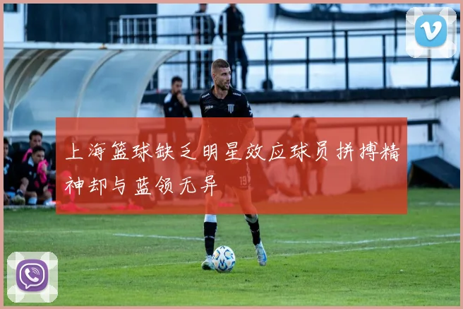 上海篮球缺乏明星效应球员拼搏精神却与蓝领无异