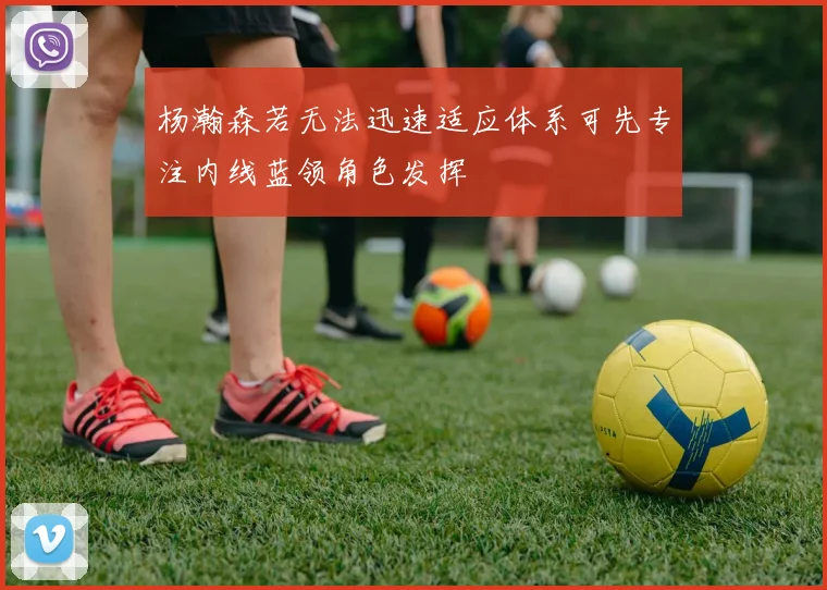 杨瀚森若无法迅速适应体系可先专注内线蓝领角色发挥